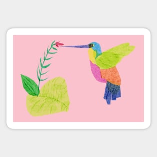 Hummingbird Sticker